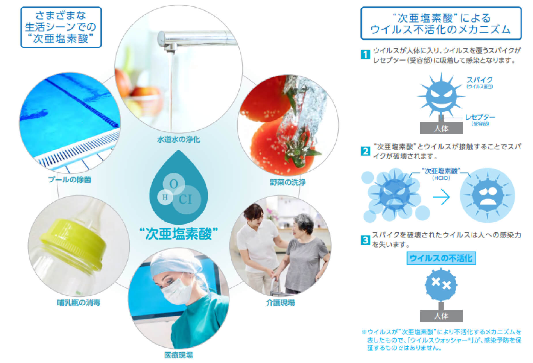 “次亜塩素酸”のチカラ！